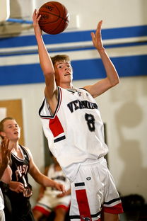 爱游戏app-中国青少年篮球发展区域差异及均衡发展策略研究，《中国青少年篮球训练教学大纲》